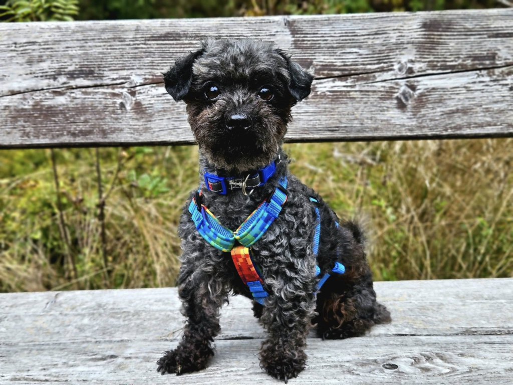 555438207_2846816668841668_8590931876466738320_n